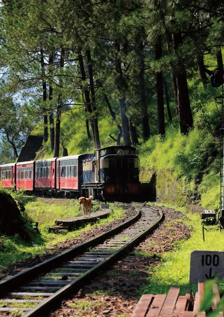  My Personal Tokyo Travel Guide ❗