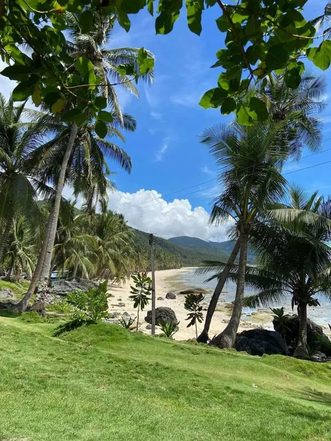 🌺Waikiki Beach Survival Guide: Blood, Sweat, and Tears (Literally) ⚠️