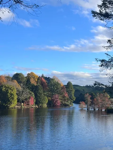 🇳🇿 Tauranga, North Island ‼️  