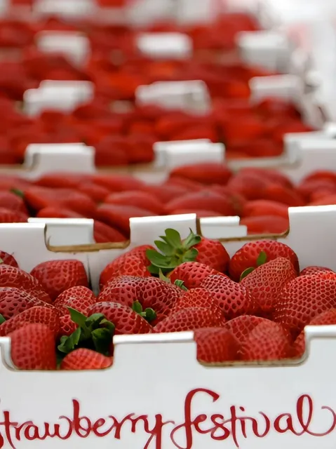 🍓 LA Strawberry Festival Recap – So Much Fun! 🎡  