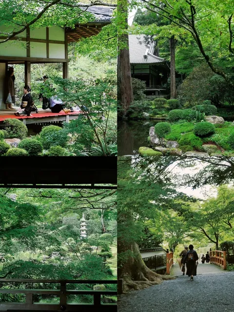 Kyoto Sanzen-in Temple | A Zen Retreat in the Forest 🌿