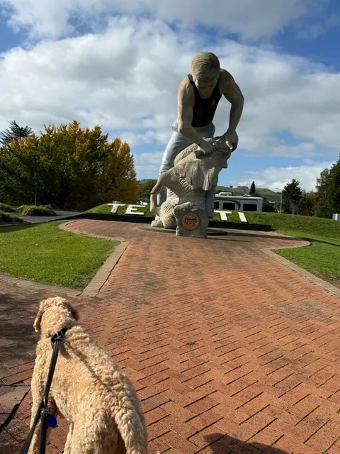 Paws in New Plymouth 🌊 | A Dog’s Coastal Adventure