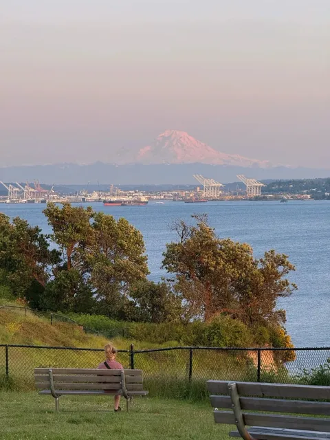 ☀️ LIVE | Seattle Summer Has Arrived—And It’s Glorious!