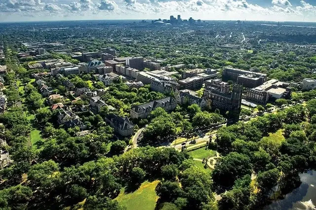🎓 Tulane University: A Deep Dive into the "Harvard of the South" 🌴