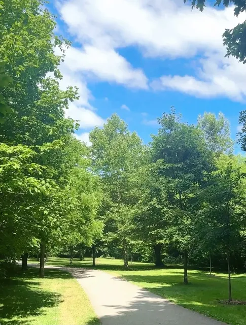 Moccasin Trail Park | Toronto's Hidden Rainbow Hike 🌈🦌  
