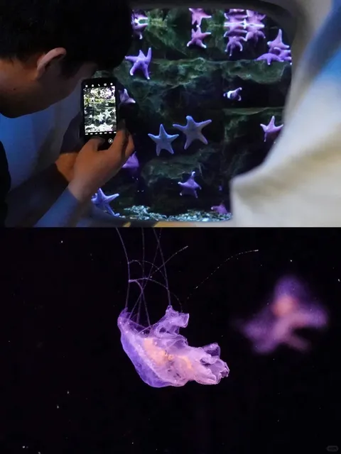 🇮🇹 Your Perfect 2-Day Genoa Itinerary: Where Grit Meets Sea