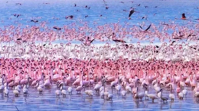 Our Trip to Durban, South Africa