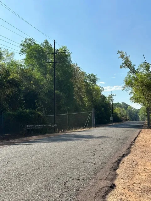 Best Swimming Spots in Darwin | Berry Springs Nature Park 💦🌿