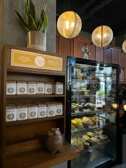 New Zealand’s First Stop: 8 Must-Visit Spots in Christchurch