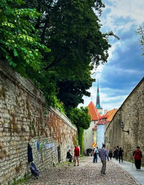 Estonia ～ Tallinn: Where Medieval Whispers Still Linger🌸