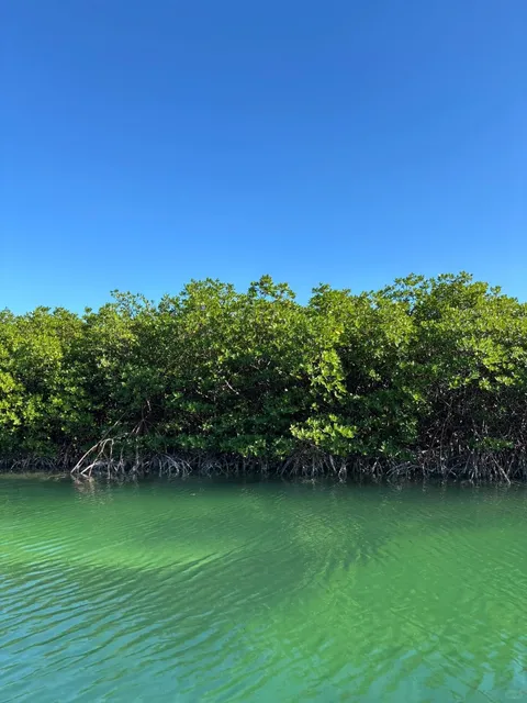 Biscayne National Park | Miami's Hidden Water Wonderland 🚤🌊