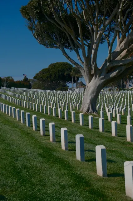 Tombstones Facing the Endless Sea, May I Rest Here Eternally 🏝️🌊