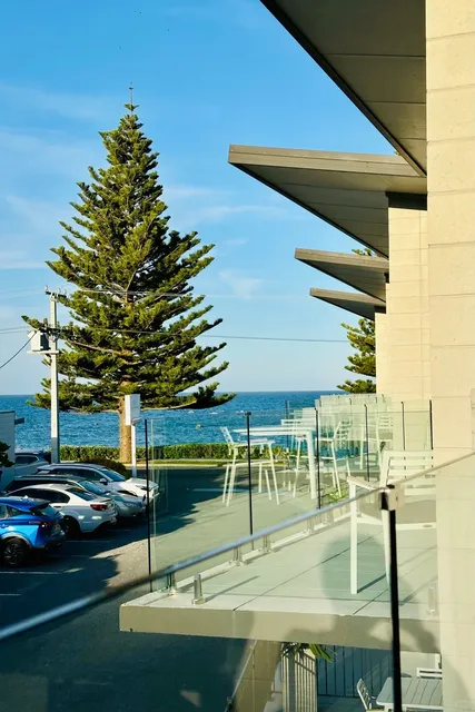 🇳🇿 Kaikoura: A Sea Lover’s Paradise! 🎣🐳