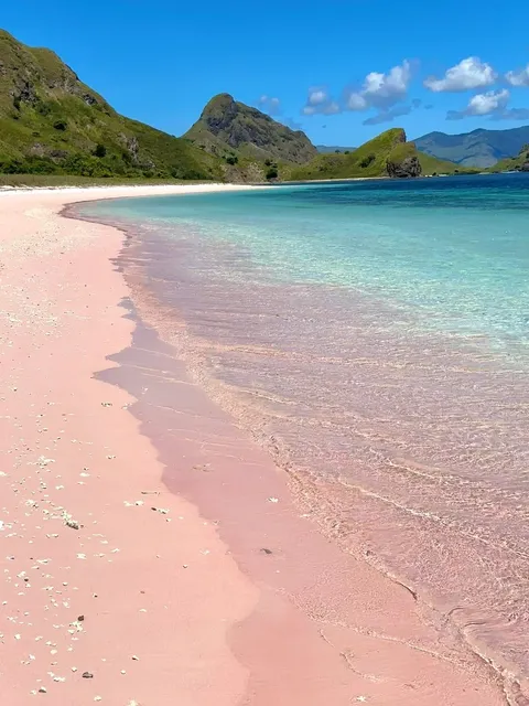 The Pink Paradise That Fulfills All Island Dreams | Komodo 🏝️💖