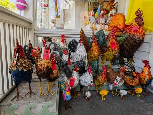 🌴 Key West Day Trip Guide: Miami to Paradise! 🇺🇸