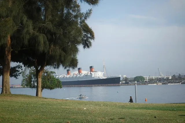 🌊 Long Beach Diaries | A Day of Dolphins & Vintage Vibes 📷✨