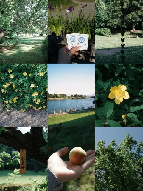 Tokyo | Hama Rikyu Onshi Teien 🌼