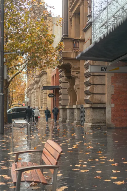 🇦🇺 Adelaide Autumn 🍁 Top Hiking Trails for Stunning Foliage!