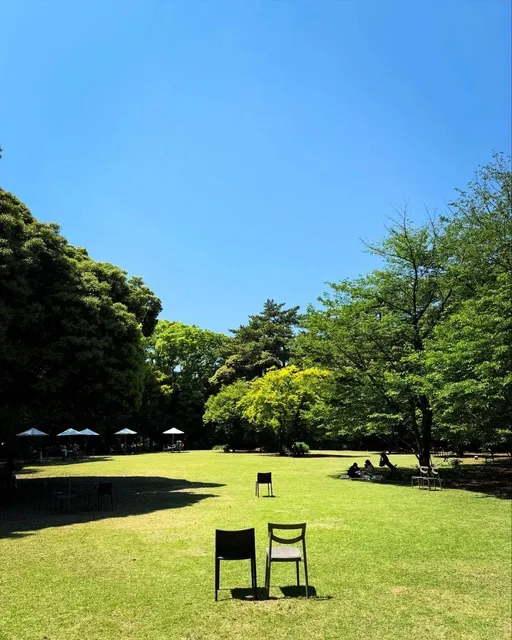 Tokyo Metropolitan Teien Art Museum, Tokyo, Japan 🌸