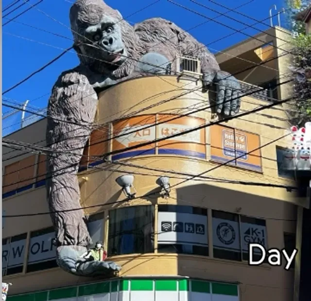 Japan Attraction Recommendations 🗾🌸🌺🌿🍃