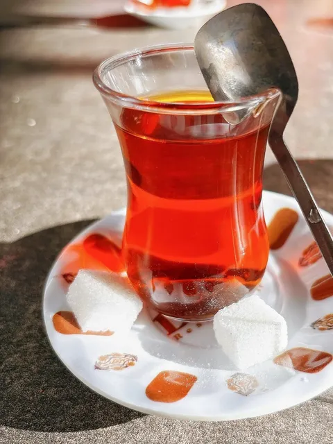 🇩🇪 Bonn | Sharing a Hidden Gem Restaurant!! 