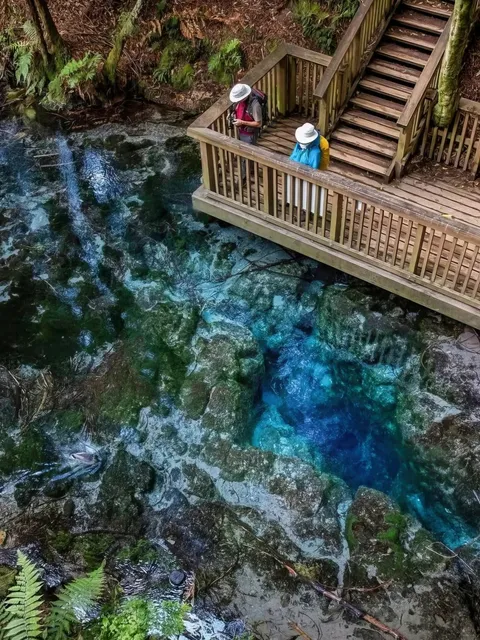 🇳🇿 Discover Hamurana Springs: Rotorua’s Hidden Gem! 💎