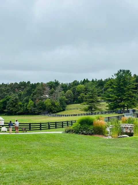  A Heartwarming Half-Day at Dog Tales Rescue & Sanctuary 🐾  