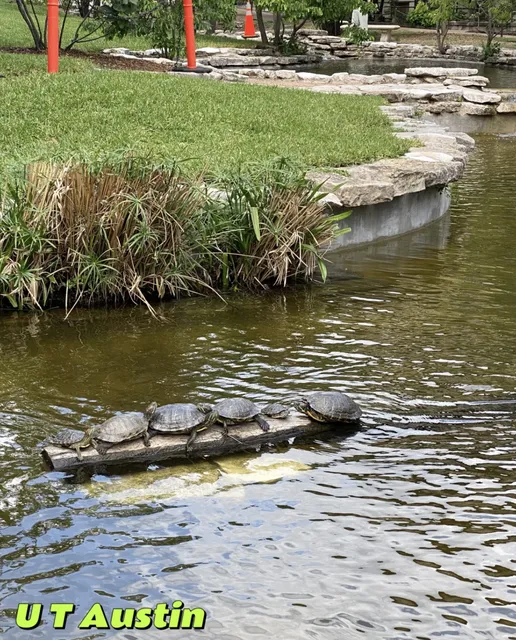 Your Ultimate Guide to Texas's Coolest Capital 