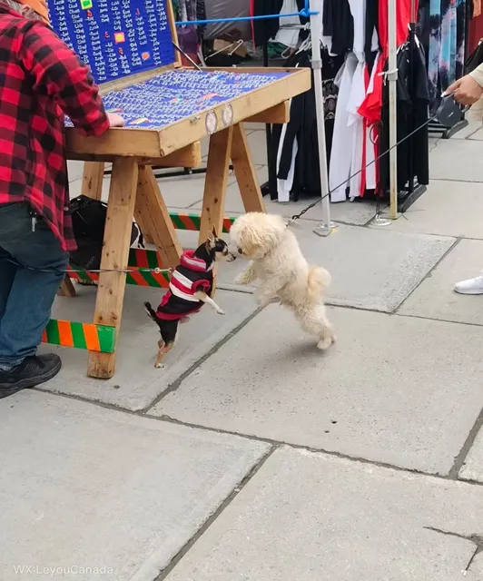 So many good things in the Bavarian Market 