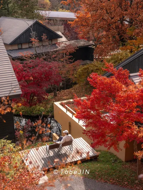 🍁 Tokyo Surrounding Red Leaves · Karuizawa 🍁