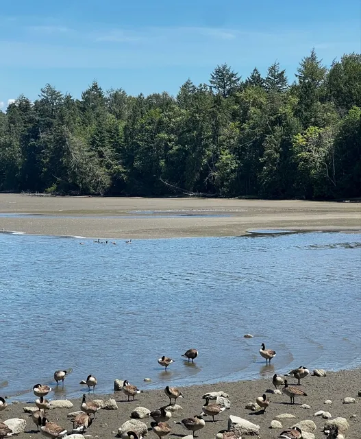 One - day Itinerary for Port Moody, Canada 🇨🇦 + Super - delicious Ic