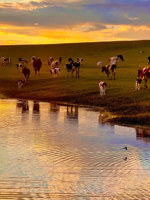 I Thought Hulunbuir Was Already Stunning…