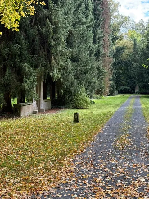 🇩🇪 Göttingen: A Day in Germany’s Scholarly Wonderland 🎓✨