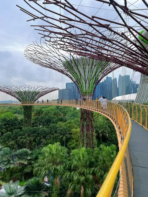 Singapore | Skyway: A Panoramic View of the Supertrees from 22m Above