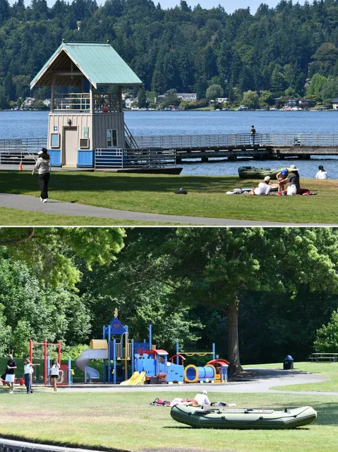 7 Must-Visit Lakeside Parks in Seattle's Eastside 🌊🌲