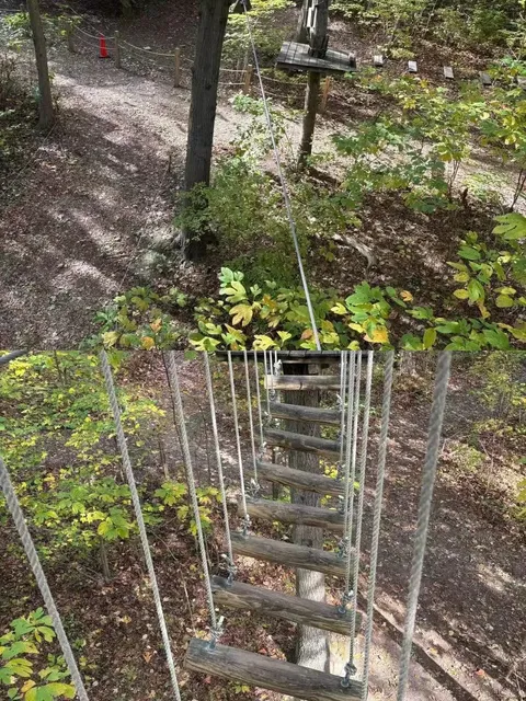 🌟 Long Island Adventure Park | Outdoor Fun Near NYC! 🌲