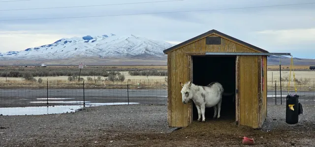 🇺🇸 Don’t Miss This Super Fun Gas Station When Passing Through Idaho!