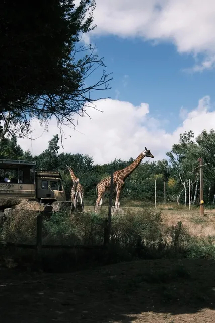 London | This place is just too much fun! 🦩 Zoo + Amusement Park 🎡