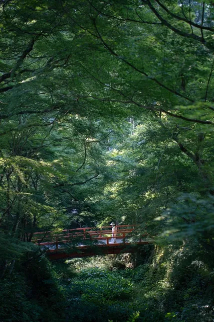Sanzen-in Temple – Like a Scene Straight Out of an Anime! 🌸🍃🎨