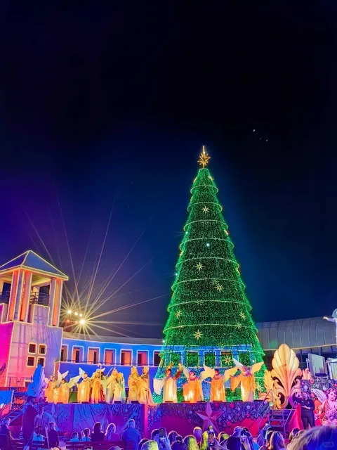 🇧🇷 Curitiba DIY Travel Guide: Budget & Local Tips!