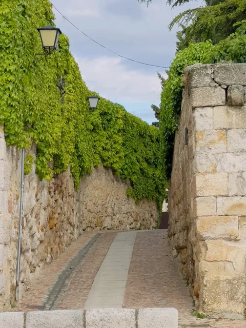 🌅 Zamora Day Trip: Where History Meets Gastronomy