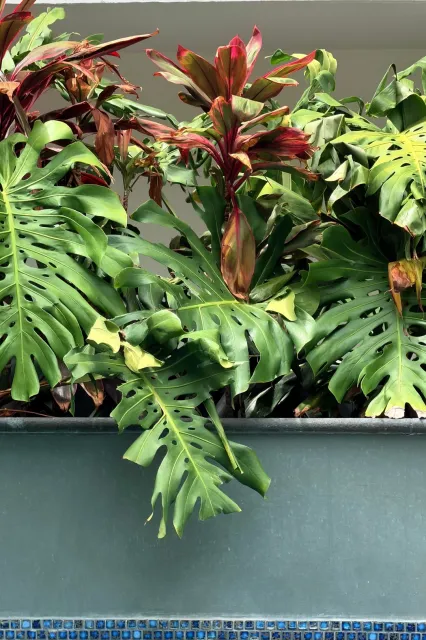 Our Go-To Staycation Destination 🏡💫