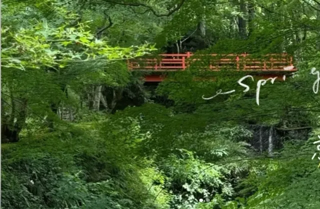 Arashiyama 🏞️ vs. Kurama Shrine ⛩️, the answer is here❗️❗️