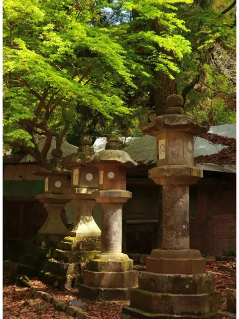 🏮🌸🦌 Japan's Three Ancient Capitals! 🏖️🏰🌳