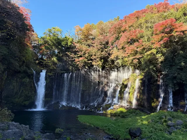  Japan Kanto Travel Guide 🌸