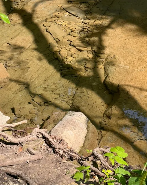 Another great day for outdoor activities in Dallas🌿