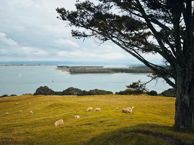 🇳🇿 Tauranga One-Day Trip 💨 An “Outdoor Novice” Hiking Story  