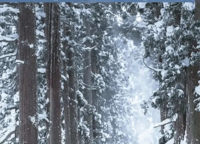 One-Day Private Tour Itineraries Around Nagano (1)🌟