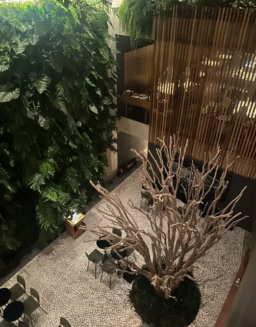 São Paulo's Great Value Two-Michelin-Starred Restaurant | Tuju