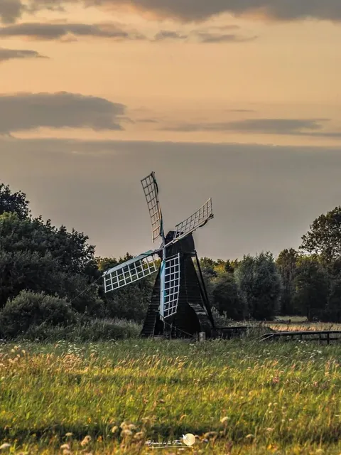 🇬🇧 ​​Wicken Fen: A Hidden Wetland Paradise for Nature Lovers!​​ 🌿🦆